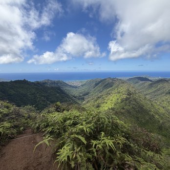 Wiliwilinui Ridge Trail - so beautiful ughh - Hiking Near Me Wiliwilinui Ridge Trail - so beautiful ughh - Hiking Near Me