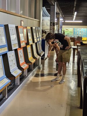 Hastings Museum by null