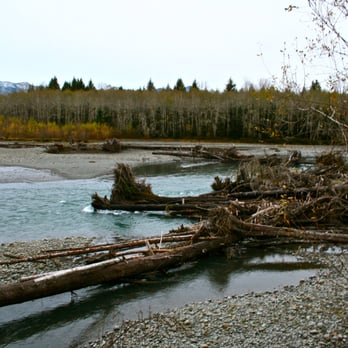 Hoh Rainforest - Hiking Near Me - Forks, Washington Hoh Rainforest - Hiking Near Me - Forks, Washington
