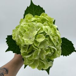 Price’s Floral Wholesale