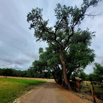 Durand Open Space - Beauty - Parks Near Me - Albuquerque, New Mexico