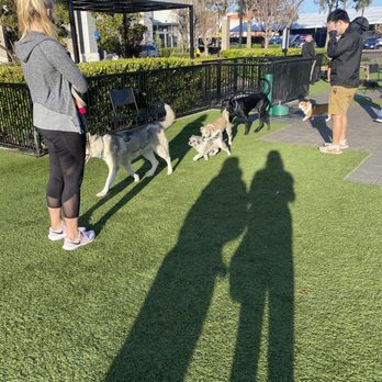 Village Green Dog Park - Dog Parks Near Me - Mountain View, California