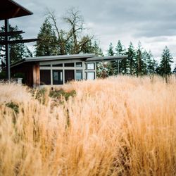 Domaine Willamette
