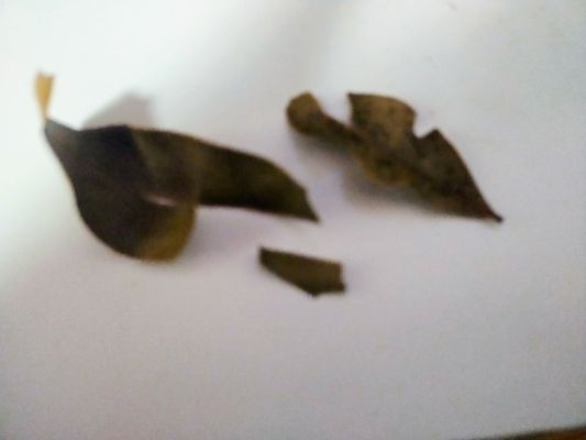 Thyme Cafe and Market by null