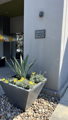 Design Within Reach by null