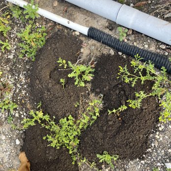 The Gopher Gal - "Perfect gopher mounds" - Wildlife Control Near Me The Gopher Gal - "Perfect gopher mounds" - Wildlife Control Near Me