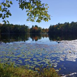 Donnabeth Lippman Park