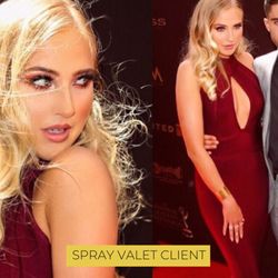 Spray Valet
