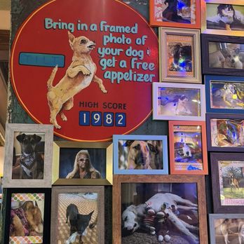 Chuy's - Cool Promotion! What about cats though? - Tex-Mex Near Me - Orlando, Florida Chuy's - Cool Promotion! What about cats though? - Tex-Mex Near Me - Orlando, Florida