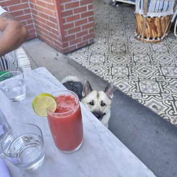 Cafe Gratitude - I Am Wonderful - Vegan Near Me - Venice, California Cafe Gratitude - I Am Wonderful - Vegan Near Me - Venice, California
