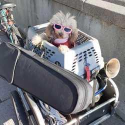 Ö'Spot - Lady déguisée en Michel Polnareff prête pour son voyage !