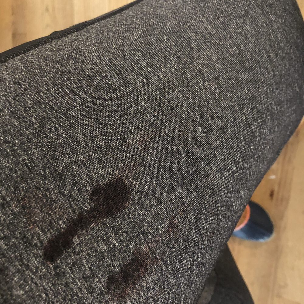 GOfetch - Blood from her nail dripped on my pants - Pet Training Near Me - Long Beach, California