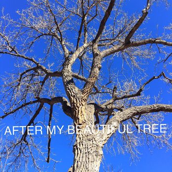 Gonzales - Tree Services Near Me