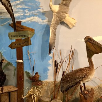 Coastal Interpretive Center - Museums Near Me - Ocean Shores, Washington