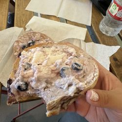 Bighorn Bagels - Blueberry bagel with seasonal blueberry lemon zest cream cheese.