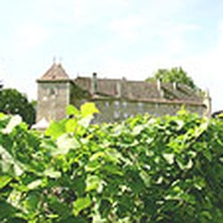Schenk SA