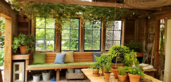 The Apple Farm by null