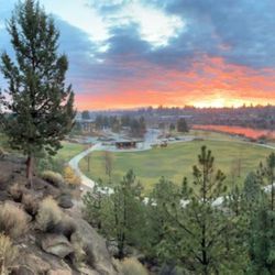 Mill Point Dental - View from our operatories.