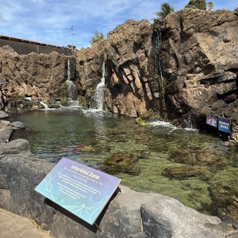 Maui Ocean Center - Aquariums Near Me - Wailuku, Hawaii Maui Ocean Center - Aquariums Near Me - Wailuku, Hawaii