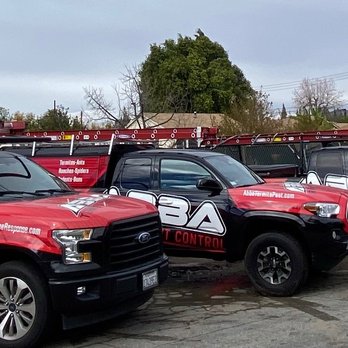 Bee Emergency Response Team - Pest Control Near Me - Whittier, California Bee Emergency Response Team - Pest Control Near Me - Whittier, California