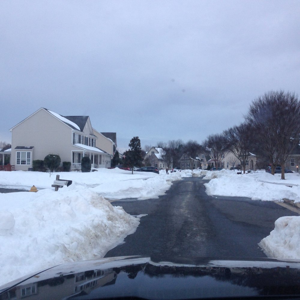 Family Tree Experts - Manicured trees on the right since this fall (2015) and out of the kindness of their heart, a plowed lane for us after snomageddon - Tree Services Near Me - Nokesville, Virginia Family Tree Experts - Manicured trees on the right since this fall (2015) and out of the kindness of their heart, a plowed lane for us after snomageddon - Tree Services Near Me - Nokesville, Virginia