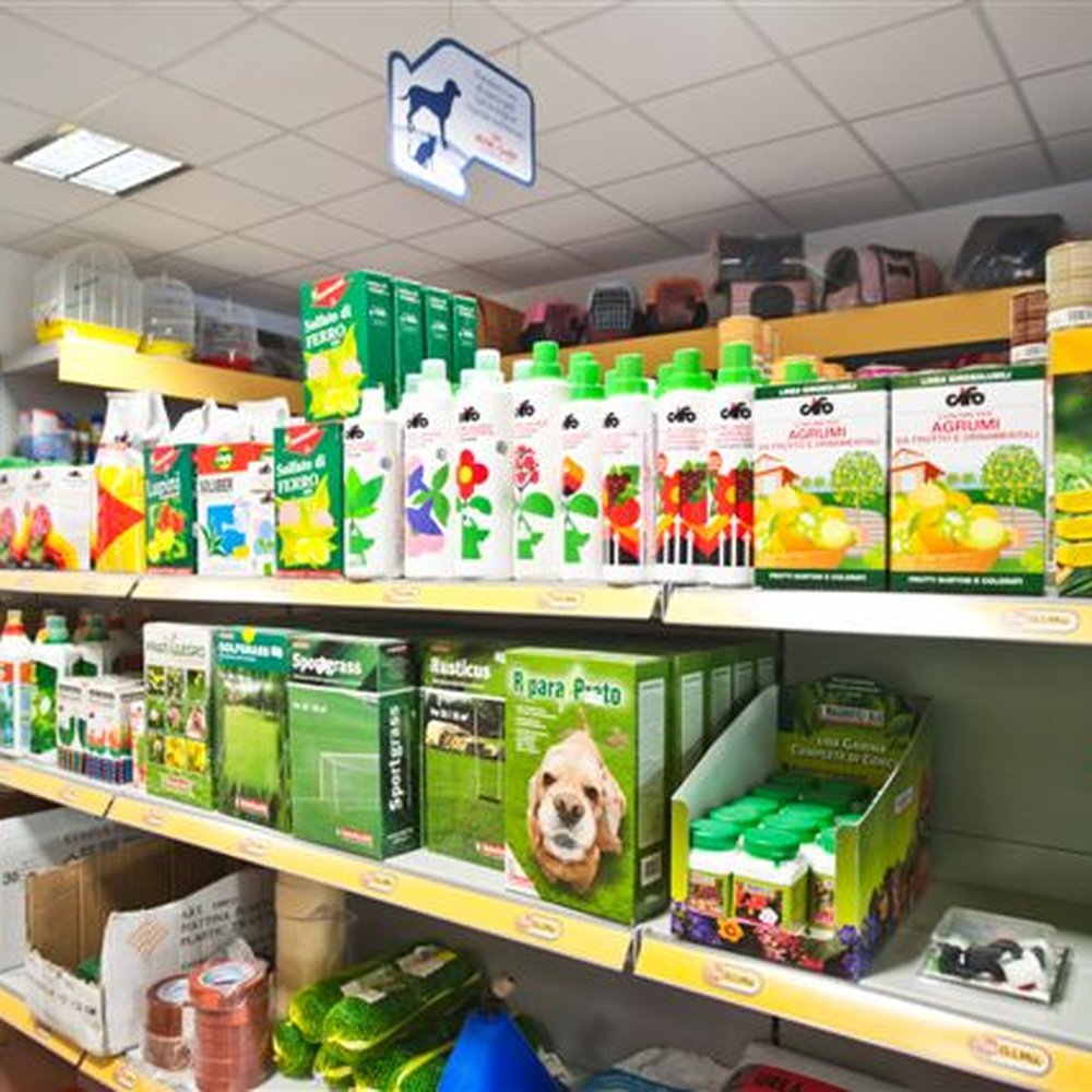 TOP 10 BEST Pets near Assisi, Perugia, Italy - Updated 2026 - Yelp, image size:1000x1000