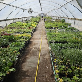 Jackson's Greenhouse - Nurseries & Gardening Near Me - Topeka, Kansas