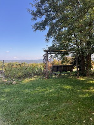 Indian Creek Farm by null