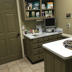 Jones Bridge Animal Hospital - Exam room #2