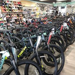 Bob's Beach Bicycle Works - Inside