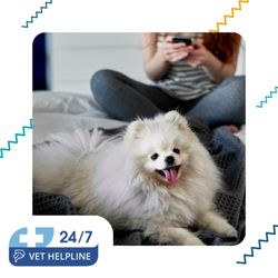 PetPartners