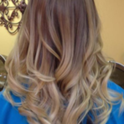 Salon Elite
