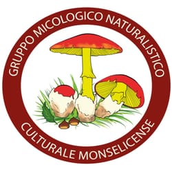 Gruppo Micologico Naturalistico Culturale Monselicense - Emblema o logo del Gruppo Micologico di Monselice
