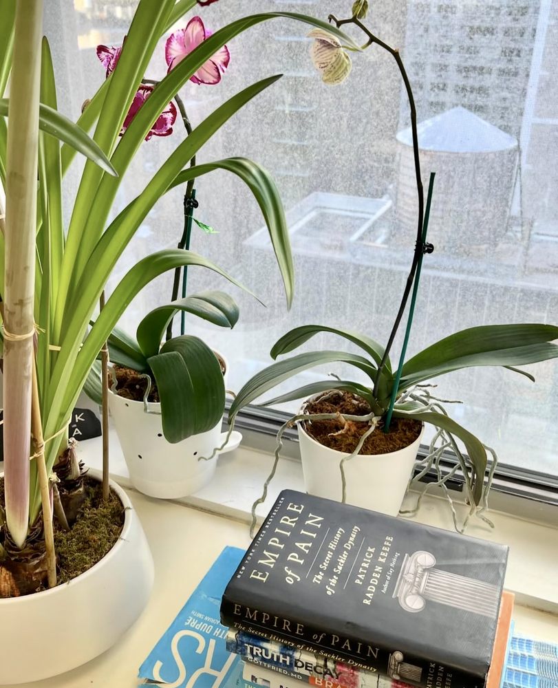 Atrium Medical - patient advocate in New York, NY