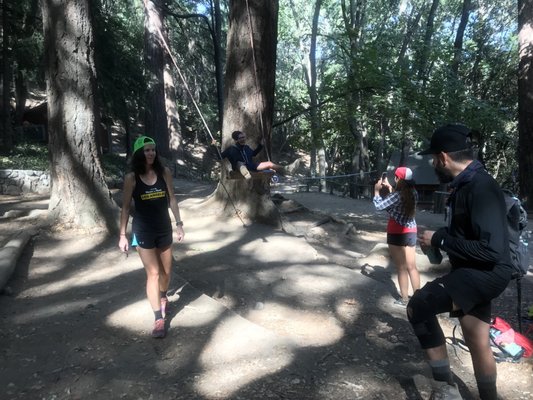 Sturtevant Camp by null