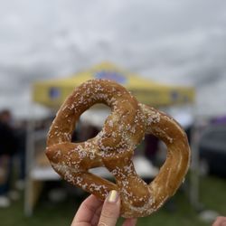 Knot of this World Pretzels - salted pretzel