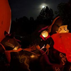 Randy's Pumpkin Patch