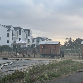 Fox Point Farms - Farm animals - Venues & Event Spaces Near Me - Encinitas, California Fox Point Farms - Farm animals - Venues & Event Spaces Near Me - Encinitas, California