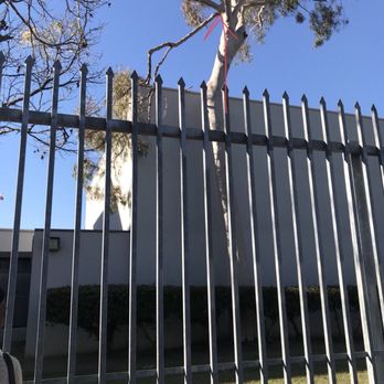 Saturn Street Elementary School - If this branch hits a kid in the head ,ADIOS!!!! - Elementary Schools Near Me - Los Angeles, California
