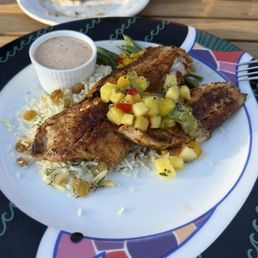 Fresh Rockfish Fresh Rockfish