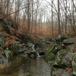 Turkey run river
