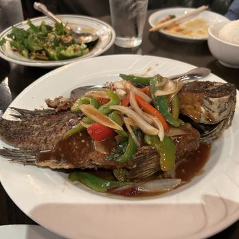 Mein Restaurant - Fish - Chinese Near Me - Houston, Texas