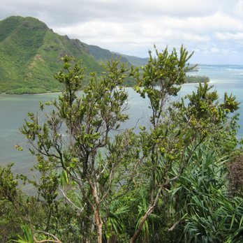 Pu'u Manamana Hiking Trail - Hiking Near Me Pu'u Manamana Hiking Trail - Hiking Near Me