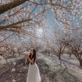 ProWedding - Event Photography Near Me - Sunnyvale, California
