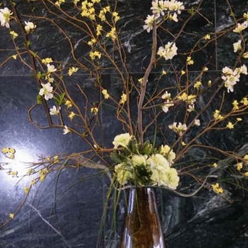 Design Perfected - Indoor Landscaping Near Me - Golden, Colorado Design Perfected - Indoor Landscaping Near Me - Golden, Colorado