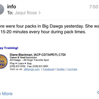 All Dawgs - Pet Training Near Me - Albany, New York