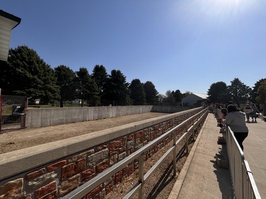 Goebbert's Farm Pingree Grove by null