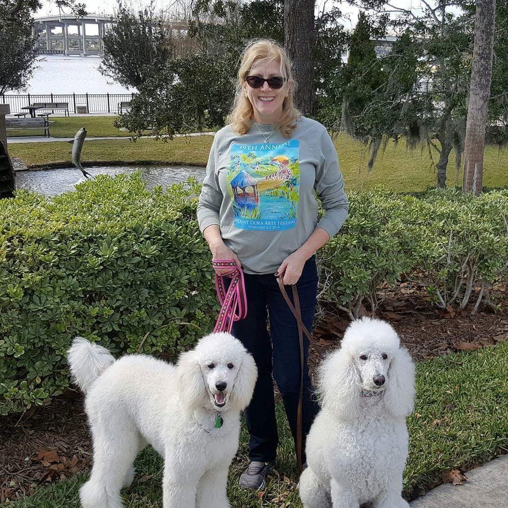 Beachside Dog Grooming