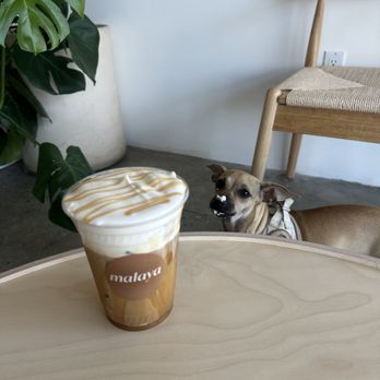 Malaya - caramel vanilla latte w/ creme top - Coffee & Tea Near Me - Los Angeles, California Malaya - caramel vanilla latte w/ creme top - Coffee & Tea Near Me - Los Angeles, California