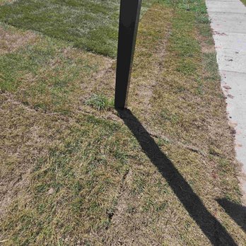 Roberto Landscaping - This is the mismatching sod they installed from home depot - Landscaping Near Me